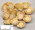 Renshen (Ginseng)---人参