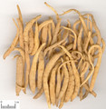Taizishen (Heterophylla Falsesatarwort Root)---太子参