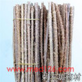 Ciwujia (Many-prickle Acanthopanax Root)---刺五加