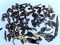 Xuduan (Himalayan Teasel Root)---续断