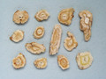 Beishashen (Coastal Glehnia Root)---北沙参