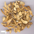 Yuzhu (Fragrant Solomonseal Rhizome)---玉竹