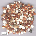 QiànShí (Gordon Euryale Seed)---芡实（powder100g/bottle)