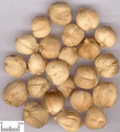 Doukou ( Round Cardamon Fruit )---豆蔻/白豆蔻 