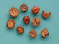 Chuanlianzi (Fructus Toosendan)---川楝子（powder100g/bottle)