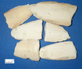 HaiPiaoxiao (Cuttlebone)---海螵蛸 （powder100g/bottle)