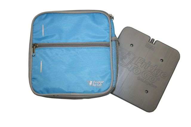 small insulated lunch bag