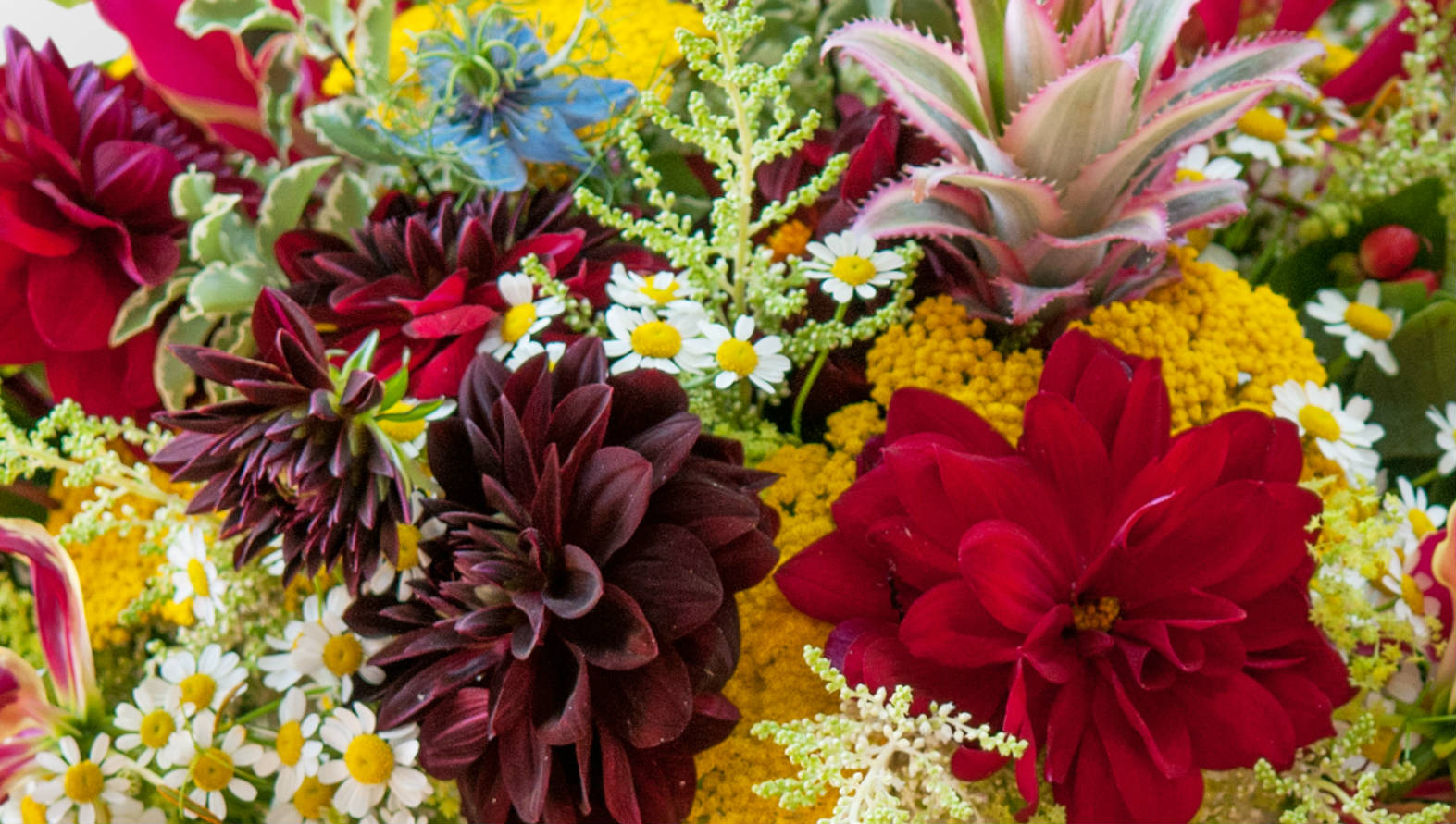 abbey-road-desc-min.jpg vibrant-flower-station.jpg
