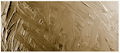 Grumbacher Academy Oil Raw Sienna