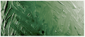 Grumbacher Academy Oil Sap Green
