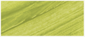 Grumbacher Academy Acrylic Thalo Yellow Green 90ml