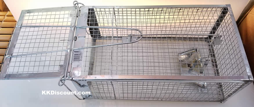 https://cdn2.bigcommerce.com/server5700/11938/products/545/images/1572/live-mouse-cage-trap-small-open__33932.1487580282.1280.1280.jpg?c=2