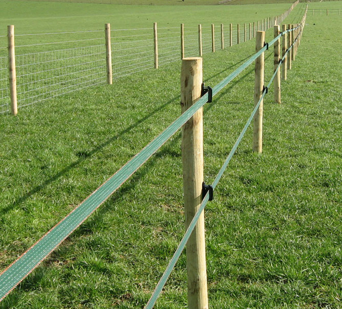 ELECTRIC FENCE TAPE 40MM X 200M Metres Green Fencing Poly Horse Paddock 200 m 