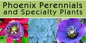 Phoenix Perennials Garden Centre