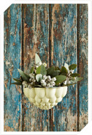 jelly planter by Angus & Celeste