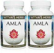  Amla Holistic Extract - Non-GMO Vitamin C, Antioxidants,aka Amalaki, Super Fruit Supplement 500mg 240 Vcaps 4 Month Supply from Tattva's Herbs