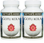 Gotu Kola Holistic Extract - Non GMO - Enhance Memory & Focus - Reduce Stress, 240 Vcaps 500 mg. Herbal Supplement 4 Month Supply from Tattva's Herbs