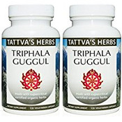 Triphala Guggul - Non GMO Holistic Extract - Digestive Support - 240 Vcaps Herbal Supplement 4 Month Supply