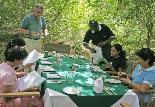 dining-table-in-the-woods.jpg