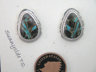 Sunnyside Turquoise Post Earrings