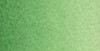Old Holland Watercolor, Cadmium Green Deep 6ml
