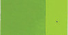 Holbein Artists' Oil, Permanent Green Light 40ml