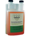 Kabosh Paint Odor Eliminator - 10 ounce