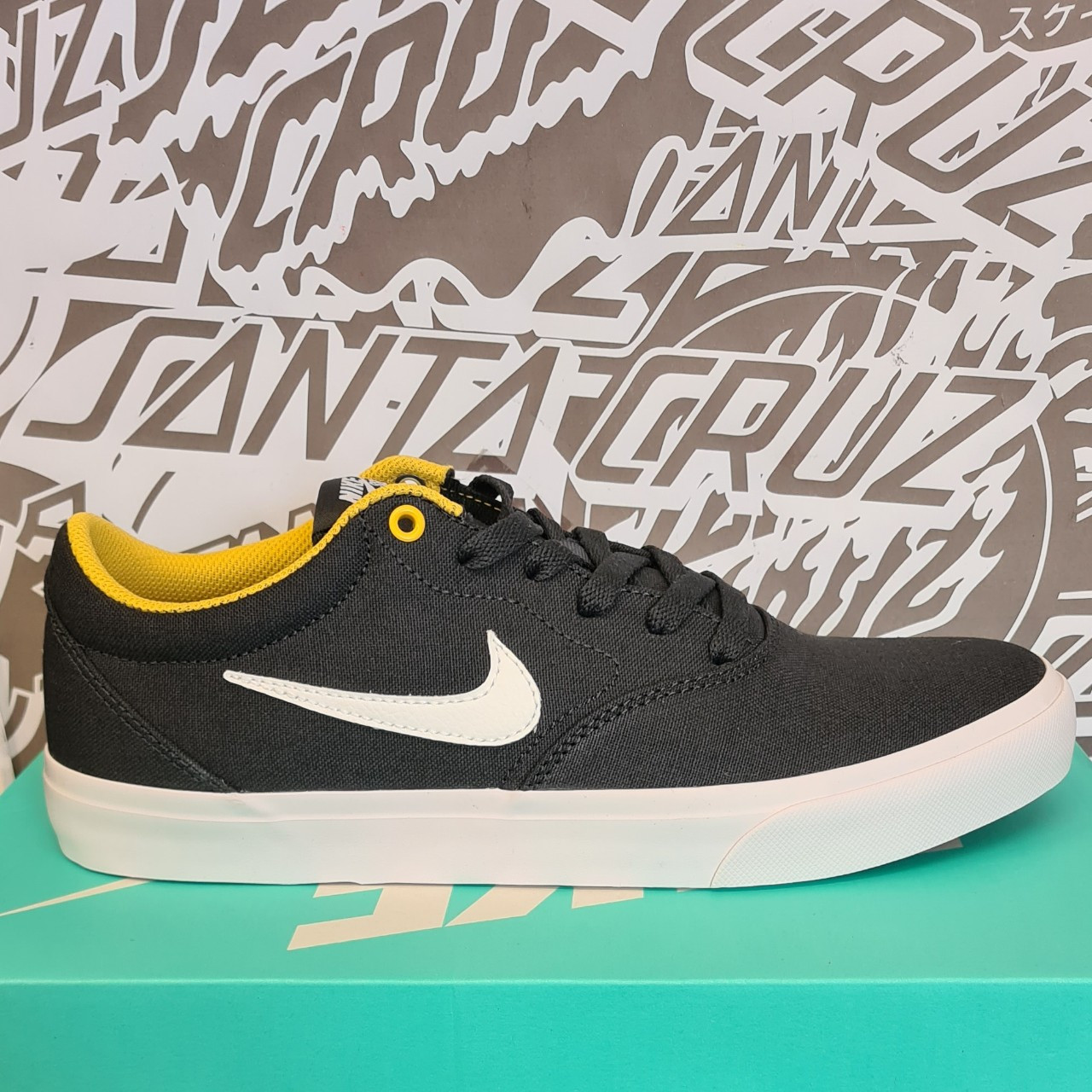 sb charge canvas shoe