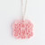 Ballet Pink