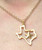 Gold-filled state of Texas necklace with Star