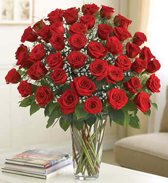 4 dozen red roses ultimate elegance premium long stem