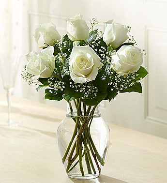 6 Stems White Loves Em Ce Roses The Dancing Dandelion Flower Shop Of Las Vegas 6 Stems White Loves Em Ce Roses The Dancing Dandelion Flower Shop Of Las Vegas