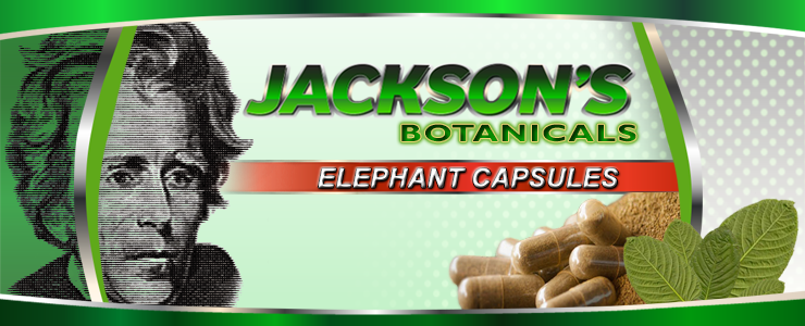 elephant-capsule-banner.png
