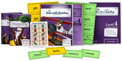 All About Reading Level 4