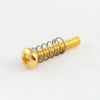 Allparts Bridge Length Screws - Gold