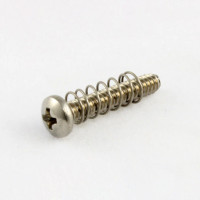 Allparts Bridge Length Screws - Stainless Steel