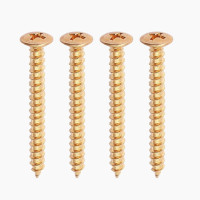 Allparts Neckplate Screws - Gold