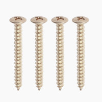 Allparts Neckplate Screws - Stainless Steel