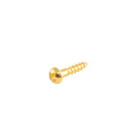 GS-3376-002 Small Tuner Screws - Gold