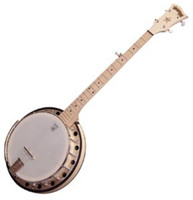 Goodtime Two™ Banjo with Resonator