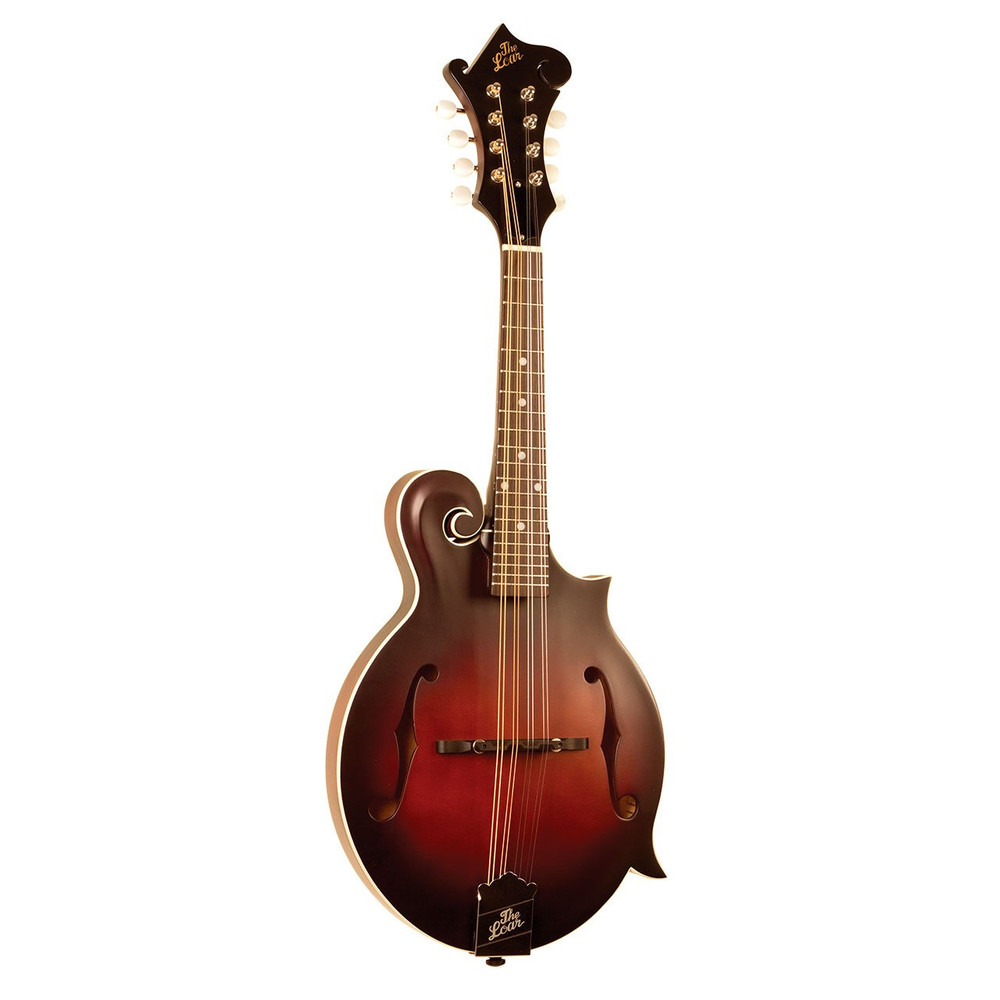 fishman nashville mandolin pickup