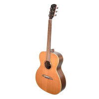 Alvarez AF75E-AGP Artist Limited OM Acoustic-Electric Guitar w/ Deluxe Gig Bag