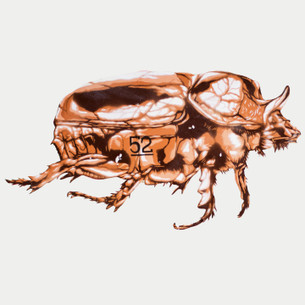 "Brown Beetle" by G52.