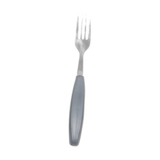 Lifestyle Fork - rtl1410