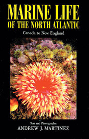 Marine Life of the North Atlantic