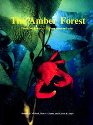 The Amber Forest