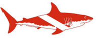12" Dive Shark Sticker