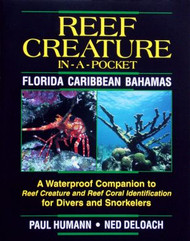 Creature-In-A-Pocket Florida Caribbean Bahamas