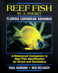 Fish-In-A-Pocket Florida Caribbean Bahamas