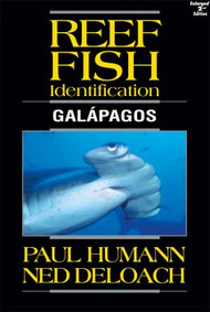 Reef Fish ID Galapagos